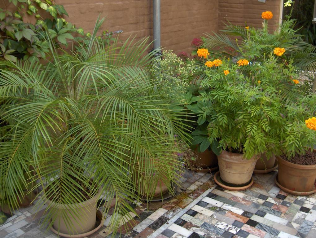 ميكلين B&B De Lachende Engel الغرفة الصورة